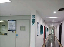 攀枝花医院如何办理亲子鉴定【免费预约】，攀枝花医院做DNA亲子鉴定是多少钱啊
