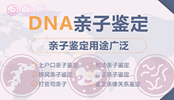 攀枝花做亲子鉴定医院电话查询，攀枝花权威DNA亲子鉴定医院在哪